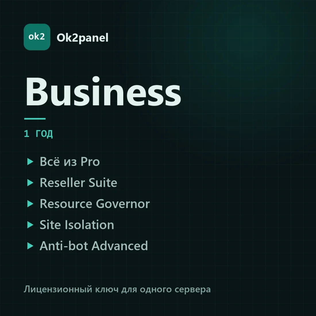 Ok2panel business-year