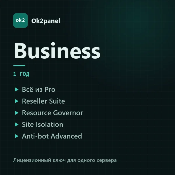 Ok2panel business-year